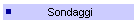 Sondaggi