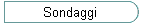 Sondaggi