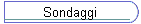 Sondaggi