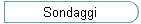 Sondaggi