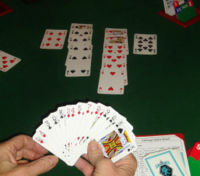 Il gioco del bridge