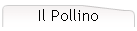 Il Pollino