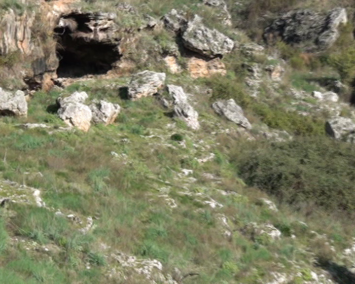 Grotte preistoriche